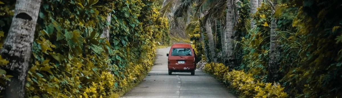 Van sur une route bordée de palmiers